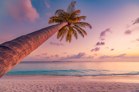 Tropical sunset seaside palm tree relax exotic nature colorful sea sky. Amazing travel landscape. Beautiful sunset tropical paradise beach. Tranquil summer vacation or holidayの写真素材