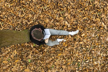 High angle shot of young man reading under a tree on the yellow leaves covered ground.の写真素材