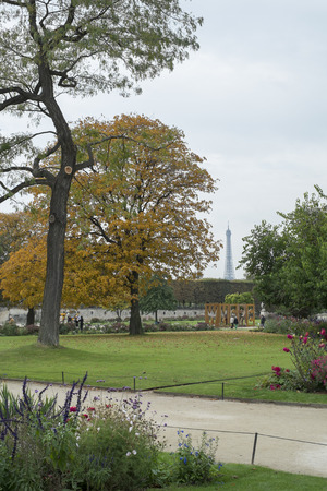 PARIS, FRANCE - OCTOBER 20: Trees in Tuilerie park, with Eiffel tower in the far background. October 20, 2013 in Paris.のeditorial素材
