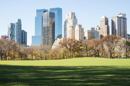 NEW YORK, US - NOVEMBER 23: Manhattan skyline with Central Park field in the foreground in Autumn. November 23, 2013 in New York.のeditorial素材