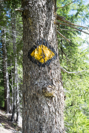 LA FOULY, SWITZERLAND - AUGUST 30: Mont Blanc tour logo painted on trees on the route. The popular tour goes through three countries and is clearly signalised throughout. August 30, 2014 in La Fouly.のeditorial素材
