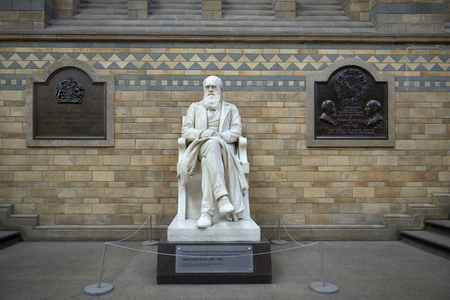 LONDON, UK - DECEMBER 11: Statue of Charles Darwin at the Natural History Museum. December 11, 2014 in London.のeditorial素材