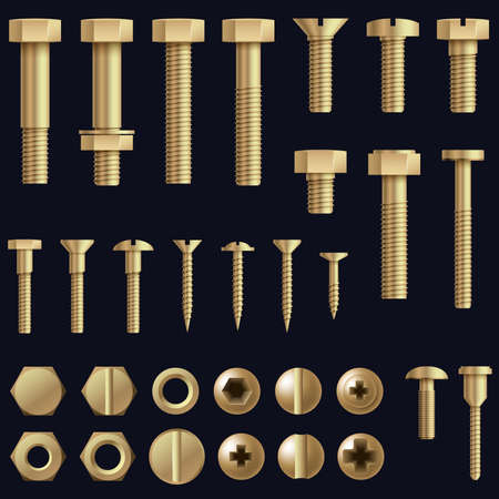 Construction hardware. Screws, bolts, nuts and rivets. Equipment stainless, metalli fix gear, set illustrationのイラスト素材