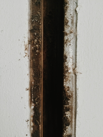 rusty