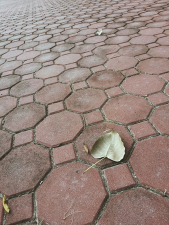 stone floorの写真素材