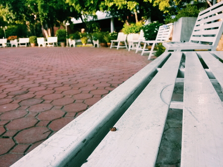 chair in the parkの写真素材