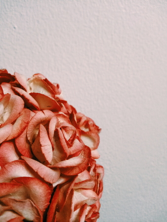 paper roseの写真素材