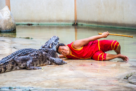 SAMUTPRAKARN,THAILAND - September 12: Crocodile show and man exciting and danger at crocodile zoo farm on September 12, 2015 in Samutprakarn,Thailandのeditorial素材
