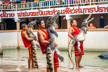 SAMUTPRAKARN,THAILAND - September 12: Crocodile show and man exciting and danger at crocodile zoo farm on September 12, 2015 in Samutprakarn,Thailandのeditorial素材