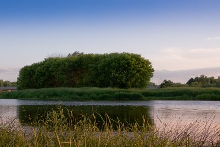 birdnest in the islandの写真素材