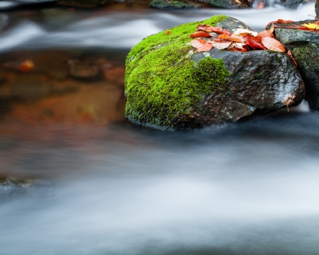 Rock and maple leaves in streamの写真素材