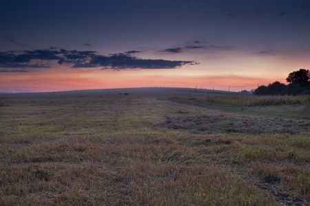 Evening field
