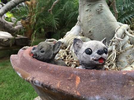 Cute stature puppiesの素材