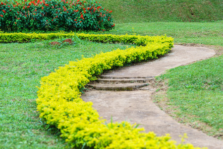 The arched walkway in the garden beautiful green peaceful.の写真素材