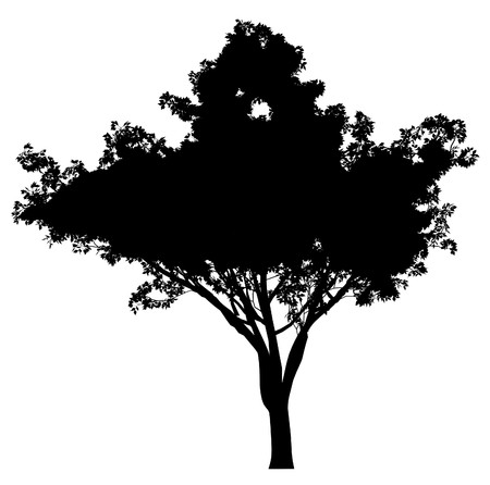 Treeのイラスト素材