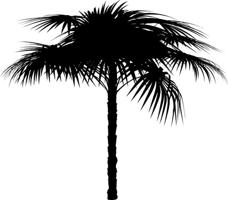 Tree のイラスト素材