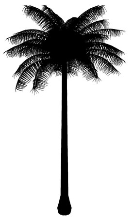 Treeのイラスト素材