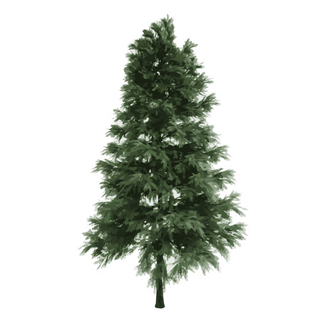 realistic vector tree isolatedのイラスト素材