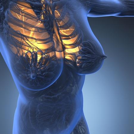 science anatomy of woman body with glow lungsの写真素材