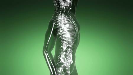 science anatomy scan of human body with visible skeletal bonesの写真素材