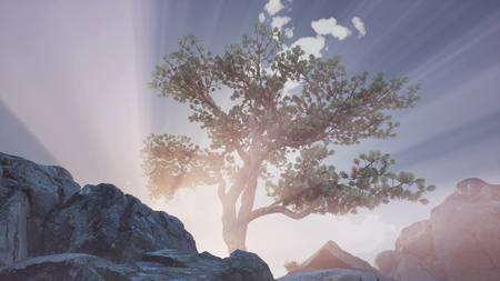 sun beams through trees at rock in mountains