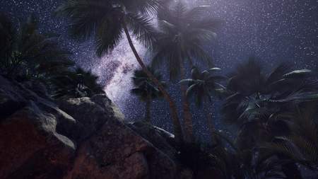 4K hyperlapse astrophotography star trails over sandstone canyon walls and palmsの写真素材