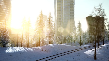 sity and forest in snow at sunriseの写真素材
