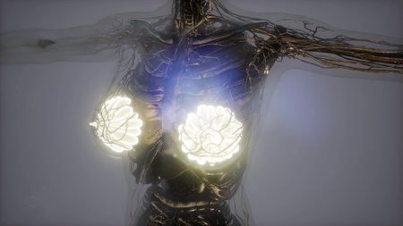 science anatomy scan of human body in x-ray with glow mammary glandの写真素材