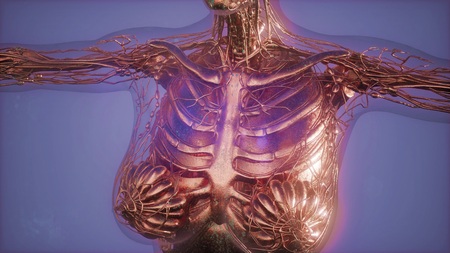 Mammogram radio imaging for breast cancer diagnosisの写真素材