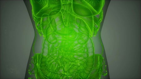 3D magnetic resonance image scanの写真素材