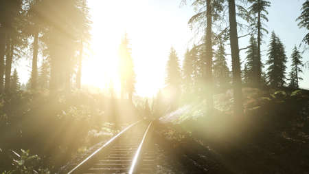 Flight Over A Railway Surrounded By Forest with Sunbeamsの写真素材