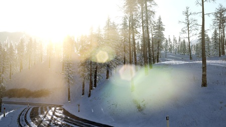 4K Aerial Snow Covered Trees Drone Footage Landscape Winter Nature Beautiful Europe Forest Mountain Travel White Famous Idyllic Tourismの写真素材