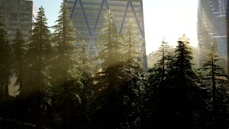 park forest and skyscrapes at sunsetの写真素材