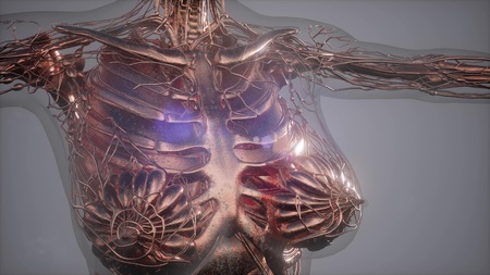 Mammogram radio imaging for breast cancer diagnosisの写真素材