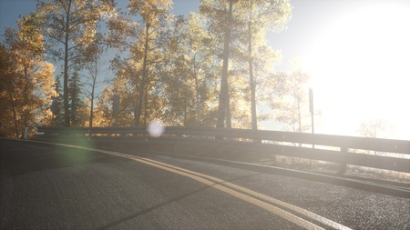 Camera Movement By Road In The Forest And The Sun Shining Through The Foliage