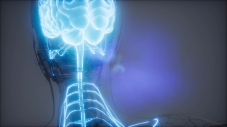 science anatomy scan of human brain glowing