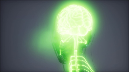 science anatomy scan of human brain glowing