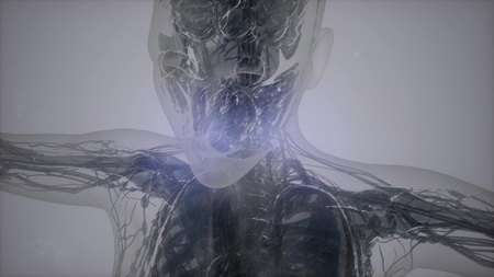 3D magnetic resonance image scanの写真素材