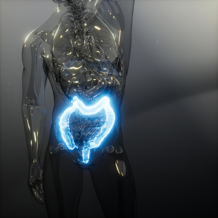 science anatomy scan of human colon glowingの写真素材