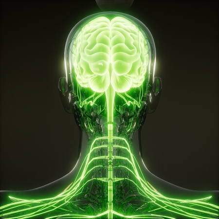 science anatomy scan of human brain glowingの写真素材