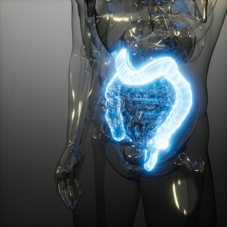 science anatomy scan of human colon glowingの写真素材