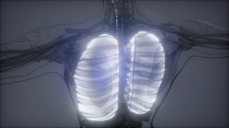 science anatomy scan of human lungs glowing