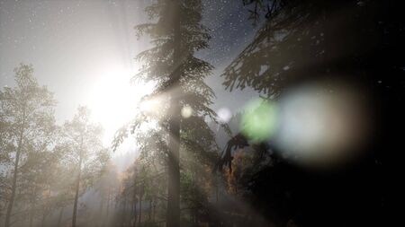 Milky Way stars with moonlight above pine trees forestの写真素材
