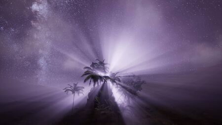 Astro of Milky Way Galaxy over Tropical Rainforestの写真素材