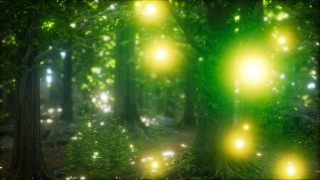 firefly flying in green forestの写真素材
