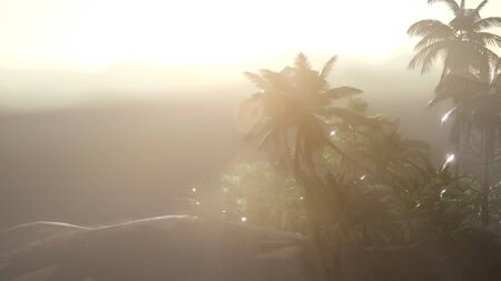 Coco palm trees tropical landscape with smoke and sun beamの写真素材