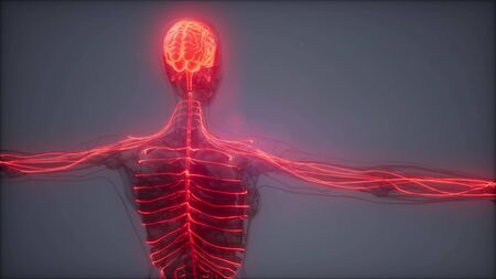 science anatomy scan of human brain glowingの写真素材