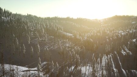 colorful winter sunrise in the mountain forest with snowの写真素材