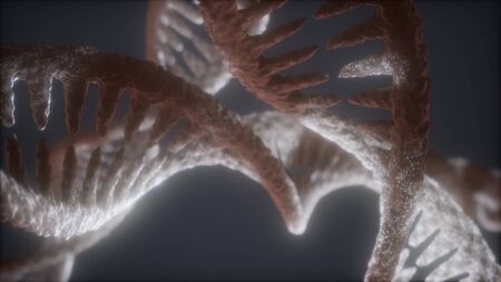 loop double helical structure of dna strand close-up animationの写真素材