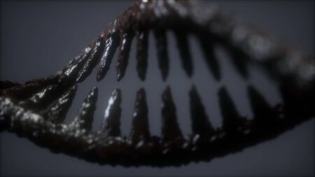 DNA molecule on the grey backgroundの写真素材